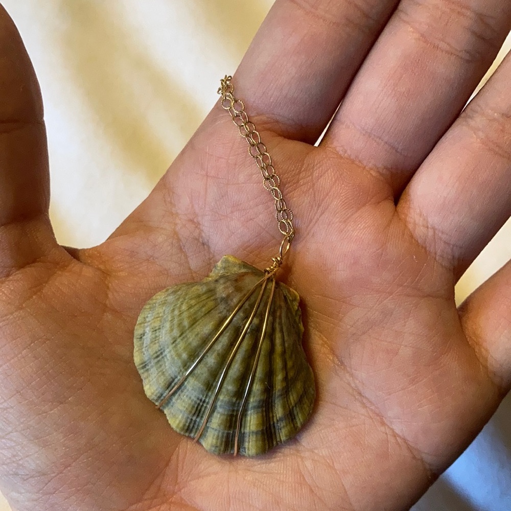 Huge Hawaii sunrise shell necklace